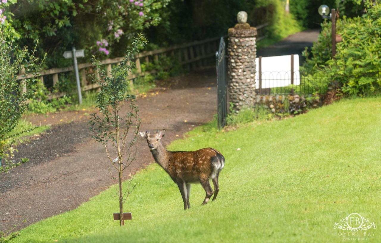 Foyers Bay Country House מראה חיצוני תמונה
